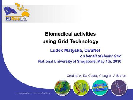 Ludek Matyska, CESNet on behalf of HealthGrid on behalf of HealthGrid National University of Singapore, May 4th, 2010 National University of Singapore,