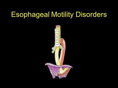 Esophageal Motility Disorders