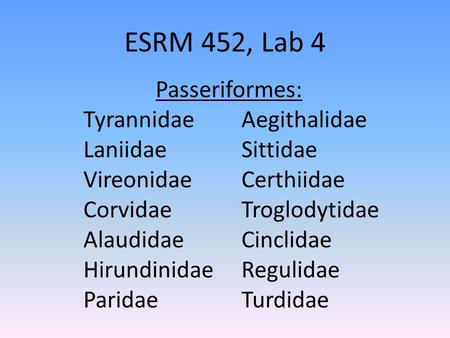 ESRM 452, Lab 4 Tyrannidae Laniidae Vireonidae Corvidae Alaudidae Hirundinidae Paridae Aegithalidae Sittidae Certhiidae Troglodytidae Cinclidae Regulidae.