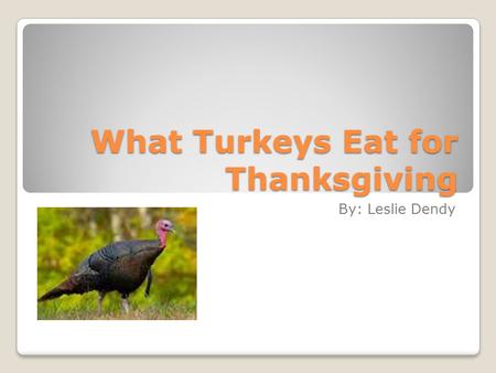 What Turkeys Eat for Thanksgiving