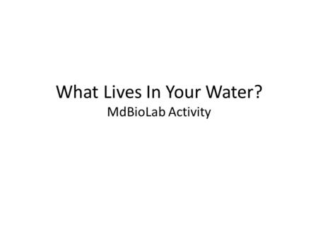 What Lives In Your Water? MdBioLab Activity. Basic Learning Goals Students will understand the connection between water quality and Human health Waterborne.