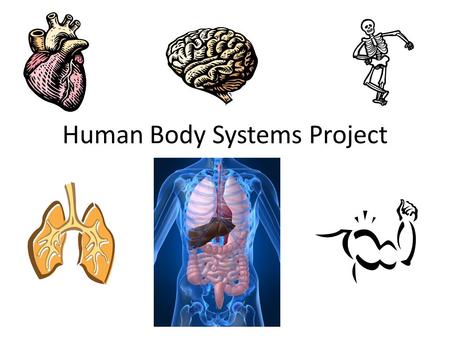 Human Body Systems Project