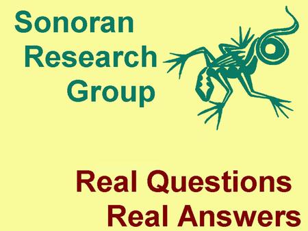 Using Evaluation as a Development Tool Anthony J. Alberta, Ph.D. President Sonoran Research Group Phoenix, Arizona.