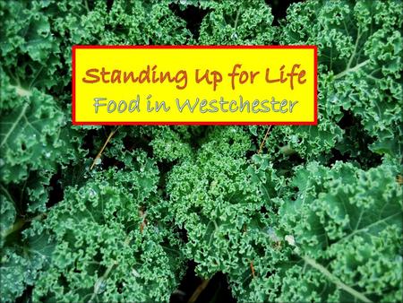 Being “hungry” means your family doesn’t have enough money to provide three meals a day. The Food Bank for Westchester estimates that there are 200,000.