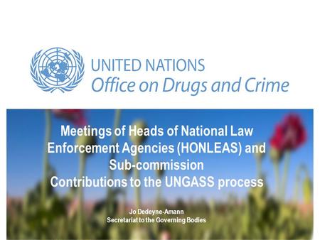 Meetings of Heads of National Law Enforcement Agencies (HONLEAS) and Sub-commission Contributions to the UNGASS process Jo Dedeyne-Amann Secretariat to.