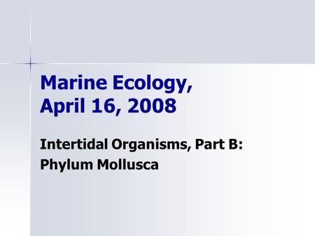 Marine Ecology, April 16, 2008 Intertidal Organisms, Part B: Phylum Mollusca.