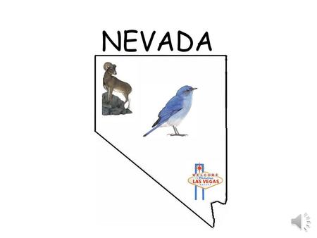 NEVADA.