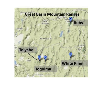 Great Basin Mountain Ranges Ruby White Pine Toiyabe Toquima.