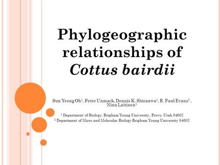 Phylogeographic relationships of Cottus bairdii Sun Yeong Oh 1, Peter Unmack, Dennis K. Shiozawa 1, R. Paul Evans 2, Nina Laitinen 1 1 Department of Biology,