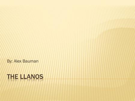 By: Alex Bauman. The Llanos is an elongated area 1200-1300 kilometers long that is in the northern region of South America and goes into a northeast curve.