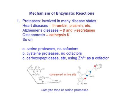 Hypothetical substrate docking in enzyme’s active site. Substrate is geometrically and electronically compatible with active site. Enzymes are also.