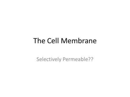 The Cell Membrane Selectively Permeable?? CATALYST Bell Ringer 1.What is the title of each of these graphs? 2.How much snow fell in 2003 and how much.