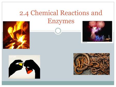 2.4 Chemical Reactions and Enzymes