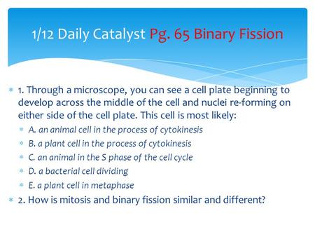 1/12 Daily Catalyst Pg. 65 Binary Fission