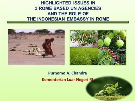 HIGHLIGHTED ISSUES IN 3 ROME BASED UN AGENCIES AND THE ROLE OF THE INDONESIAN EMBASSY IN ROME Purnomo A. Chandra Kementerian Luar Negeri RI.