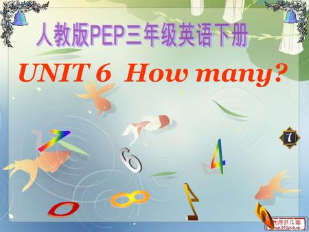 人教版PEP三年级英语下册 UNIT 6 How many? 1 4 6 8 7 5.