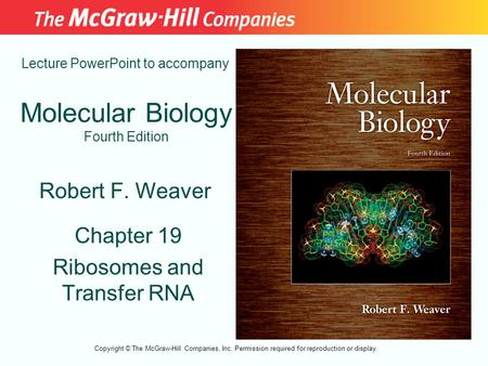 Molecular Biology Fourth Edition