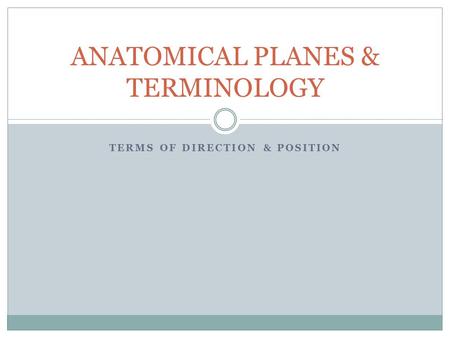 ANATOMICAL PLANES & TERMINOLOGY