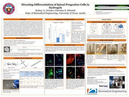 Virtual Screening Methods for Biomaterial Surface Functionalization Behavioral Analysis Cervical Lateral Contusion – Rodent Model Abstract Over 200,000.