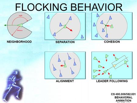 CS 490.006/582.001 BEHAVIORAL ANIMATION PAGE 113 FLOCKING BEHAVIOR NEIGHBORHOOD SEPARATION COHESION ALIGNMENTLEADER FOLLOWING.