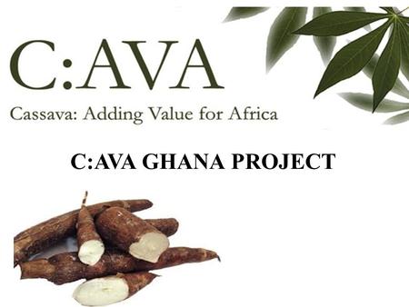 C:AVA GHANA PROJECT.