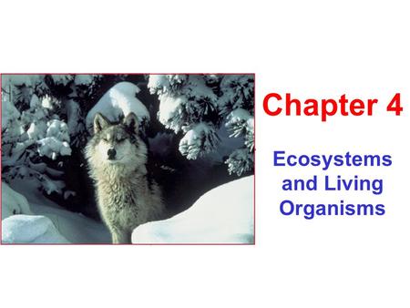 Ecosystems and Living Organisms