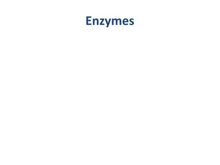 Enzymes.