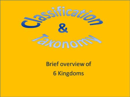 Brief overview of 6 Kingdoms. Classification Grouping of objects or information based on similarities Helps scientists understand what different species.