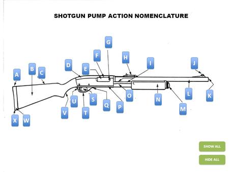 SHOTGUN PUMP ACTION NOMENCLATURE A A B B C C D D E E F F G G H H I I J J X X W W V V U U T T S S Q Q P P O O N N M M L L K K HIDE ALL SHOW ALL.