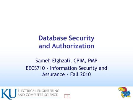 Database Security and Authorization