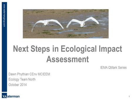 Www.watermangroup.com Next Steps in Ecological Impact Assessment IEMA QMark Series 1 Dawn Phythian CEnv MCIEEM Ecology Team North October 2014.