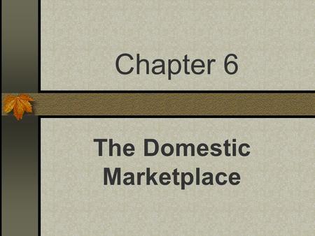 Chapter 6 The Domestic Marketplace. Activity #1 In table groups…List all of the members of your immediate family. Next, decide which MARKET these people.