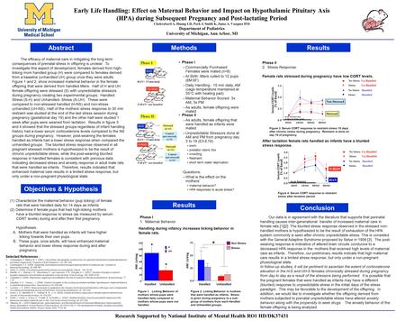 The efficacy of maternal care in mitigating the long term consequences of prenatal stress in offspring is unclear. To investigate this aspect of development,