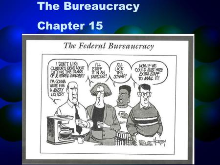 The Bureaucracy Chapter 15