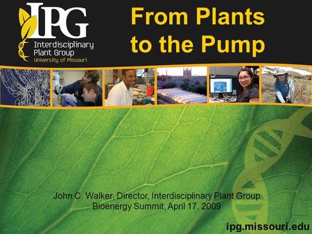 John C. Walker, Director, Interdisciplinary Plant Group Bioenergy Summit, April 17, 2009 How Plant Biology Research at MU Is Helping the U.S. Achieve Its.