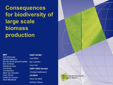 Consequences for biodiversity of large scale biomass production MNP Rob Alkemade Michel Bakkenes Ben ten Brink (project leader) Bas Eickhout Mireille de.