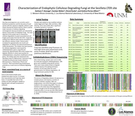 Characterization of Endophytic Cellulose Degrading Fungi at the Sevilleta LTER site Zachary T. Gossage 1, Carolyn Weber 2, Cheryl Kuske 2, and Andrea Porras-Alfaro.