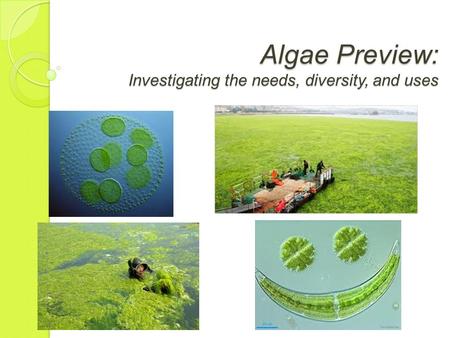 Algae Preview: Investigating the needs, diversity, and uses