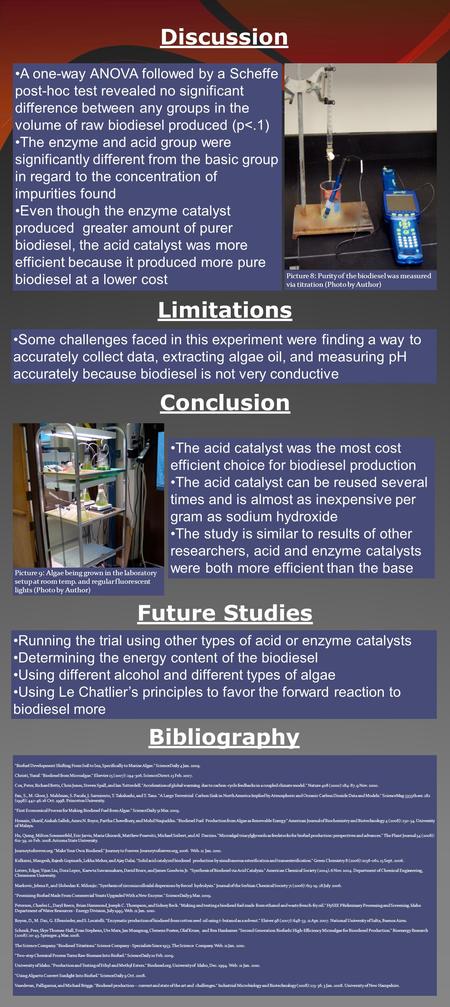 Conclusion Future Studies Bibliography Biofuel Development Shifting From Soil to Sea, Specifically to Marine Algae. ScienceDaily 4 Jan. 2009. Christi,