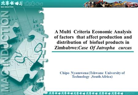 Chipo Nyamwena (Tshwane University of Technology ,South Africa)