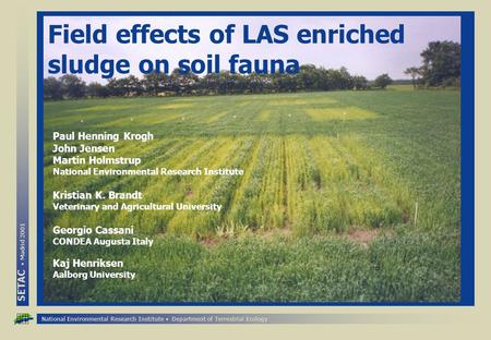 National Environmental Research Institute Department of Terrestrial Ecology SETAC Madrid 2001 Field effects of LAS enriched sludge on soil fauna Paul Henning.