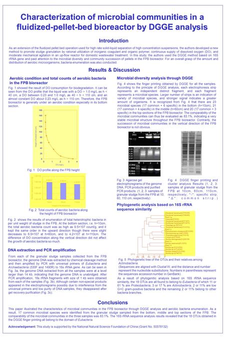 Characterization of microbial communities in a fluidized-pellet-bed bioreactor by DGGE analysis As an extension of the fluidized pellet bed operation used.