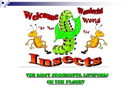 What is an insect? air breathing animal hard jointed exoskeleton in the adult, a body divided into three parts  the head with one pair of antennae 