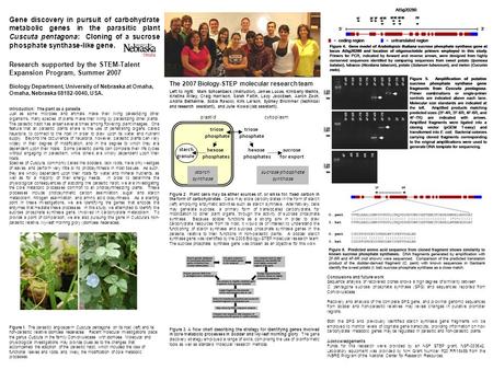 Introduction: The plant as a parasite Just as some microbes and animals make their living parasitizing other organisms, many species of plants make their.