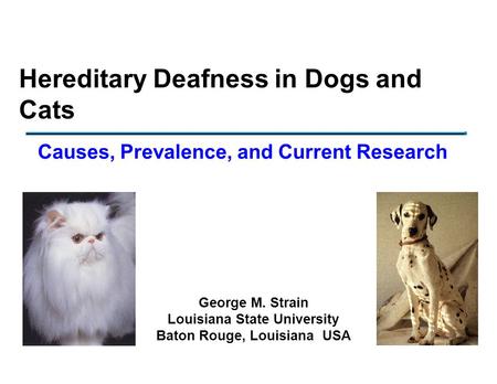 Hereditary Deafness in Dogs and Cats George M. Strain Louisiana State University Baton Rouge, Louisiana USA Causes, Prevalence, and Current Research.