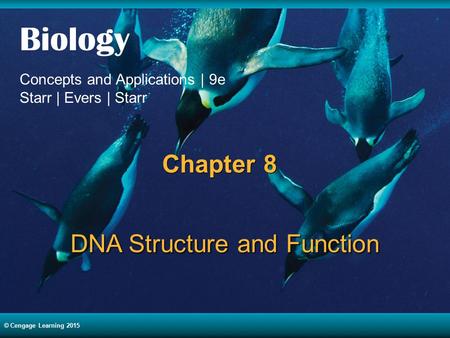 © Cengage Learning 2015 Biology Concepts and Applications | 9e Starr | Evers | Starr © Cengage Learning 2015 Chapter 8 DNA Structure and Function.