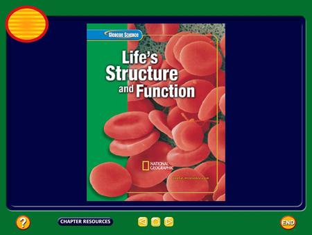 Chapter: Cells Table of Contents Section 3: VirusesViruses Section 1: Cell Structure Section 2: Viewing CellsViewing Cells.