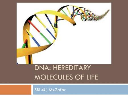 DNA: HEREDITARY MOLECULES OF LIFE SBI 4U, Ms.Zafar.