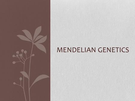 MENDELIAN GENETICS. Gregor Mendel: Hereditary Genetics Garden peas are: Self-pollinating Easy to experimentally cross-pollinate Clear traits—pure purple,