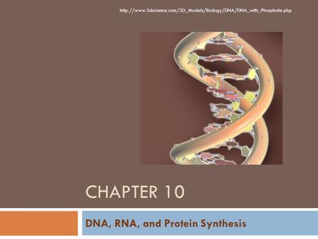 DNA, RNA, and Protein Synthesis